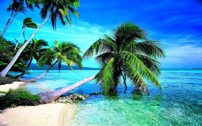Tropical Beach Desktop Wallpapers - Wallpaper Cave